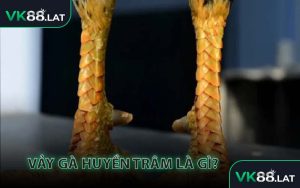 Vảy Gà Huyền Trâm là gì?